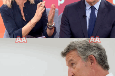 El PSOE se enfrenta al juicio político más brutal jamás visto, no en tribunales, sino en televisión: un proceso público despiadado donde la audiencia decide quién sobrevive y quién queda destruido para siempre.