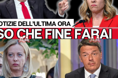 RENZI ATTACCA GIORGIA MELONI CON UN’ACCUSA CLAMOROSA, MA IN SENATO SUCCEDE QUALCOSA CHE NESSUNO AVEVA PREVISTO: IL SILENZIO, LO SGUARDO, E POI LA REPLICA CHE CAPOVOLGE TUTTO DAVANTI AL PAESE. Matteo Renzi prende la parola convinto di colpire al cuore il governo. Le accuse partono dure, cariche di rancore politico, accompagnate dal solito copione della sinistra che promette scandali e pretende applausi. Giorgia Meloni ascolta. Non interrompe. Non reagisce. Quel silenzio pesa più di mille urla. In aula l’aria si fa tesa, i banchi fremono, le telecamere insistono sul volto della Presidente del Consiglio. Poi arriva il momento. Meloni parla. Poche frasi, nessuna concessione, nessuna difesa. È un contrattacco chirurgico. Le certezze di Renzi si sgretolano una dopo l’altra, il tono cambia, lo sguardo si abbassa. La scena è tutta lì: chi attaccava ora si giustifica, chi doveva cadere resta in piedi. La sinistra assiste impotente, prigioniera del proprio teatro. In Senato non va in scena solo uno scontro personale, ma una resa dei conti politica che lascia una domanda sospesa: dopo questo faccia a faccia tra Giorgia Meloni e Matteo Renzi, chi comanda davvero?