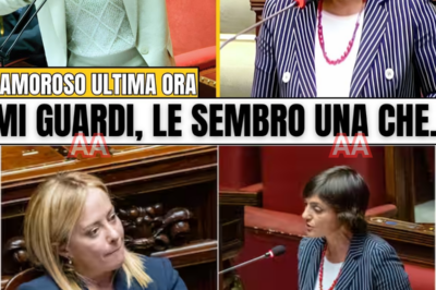 SERACCHIANI PARTE ALL’ATTACCO CONTRO GIORGIA MELONI, MA IN AULA ACCADE QUALCOSA CHE NESSUNO AVEVA PREVISTO: UNA RISPOSTA TAGLIENTE, UN SILENZIO IMPROVVISO, POI UN BOATO CHE CAMBIA IL CLIMA POLITICO IN PARLAMENTO.  L’intervento di Debora Serracchiani sembra studiato per colpire duro. Tono deciso, accuse dirette, sguardi complici dai banchi dell’opposizione. Per un attimo l’aula sembra pendere tutta da una parte. Le parole rimbalzano tra i muri del Parlamento come un atto d’accusa finale. Tutti aspettano la reazione di Giorgia Meloni.  Quando arriva, non è uno scontro urlato. È qualcosa di più freddo, più controllato, più pericoloso. Poche frasi bastano a ribaltare la scena. La Premier non risponde sul terreno scelto dall’avversaria, lo sposta. Cambia ritmo, cambia prospettiva, costringe chi attacca a inseguire. In aula si avverte un brusio crescente, poi un boato che spezza l’equilibrio.  Non è solo politica. È una prova di forza pubblica, un momento che ridefinisce i ruoli davanti alle telecamere. Opposizione e governo restano immobili per un istante. Nessuno applaude apertamente, nessuno esulta davvero. Ma una sensazione resta sospesa nell’aria: qualcuno ha perso il controllo della partita, e non è chi tutti pensavano.