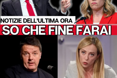 RENZI PROVOCA, MELONI NON ARRETRA: LE ACCUSE FANNO ESPLODERE LA PREMIER CON UNA REAZIONE DEVASTANTE, UNA CONTROFFENSIVA TAGLIENTE CHE UMILIA RENZI PUBBLICAMENTE E LASCIA L’AULA SENZA PAROLE.  La tensione era già altissima, ma bastano poche parole per far esplodere tutto. Renzi provoca, convinto di mettere in difficoltà la premier. Invece accade l’opposto. Giorgia Meloni non arretra di un millimetro, prende la parola e ribalta il tavolo con una risposta dura, calcolata, chirurgica. Ogni frase è un colpo che arriva dritto al bersaglio. L’aula si gela, i mormorii si spengono, gli sguardi si incrociano increduli. Renzi resta esposto, isolato, politicamente colpito davanti a tutti. Non è solo uno scontro verbale: è un passaggio di forza, un messaggio chiaro a maggioranza e opposizione. E da quel momento, nulla sembra più come prima|KF