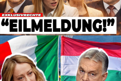 L’UNIONE EUROPEA SULL’ORLO DEL COLLASSO: ITALIA, BELGIO E UNGHERIA SFIDANO BRUXELLES E FANNO TREMAR L’UE – URSULA VON DER LEYEN NEL CAOS, ACCUSE INCROCIATE, DECISIONI SHOCK E IL SOSPETTO DI UNA “FUGA POLITICA” MENTRE L’EUROPA AFFRONTA LA FRATTURA PIÙ GRAVE DELLA SUA STORIA|KF