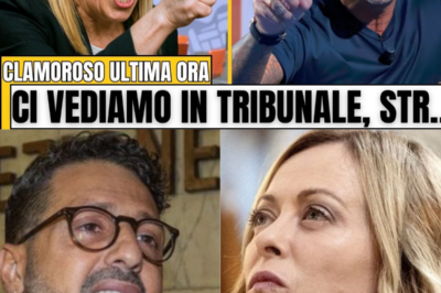 CORONA LANCIA L’ACCUSA IN DIRETTA, GIORGIA MELONI PERDE LA PAZIENZA E LO ZITTISCE SENZA MEZZI TERMINI: SILENZIO TESO, VOLTI SHOCKATI E UNA SCENA CHE FA TREMARE IL PALAZZO|KF