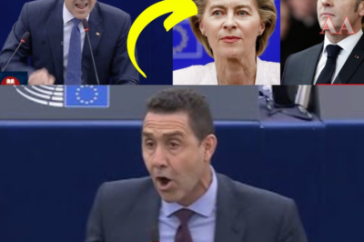 VANNACCI FA TREMARE BRUXELLES: DISCORSO DURISSIMO, PAROLE COME LAME E UN’ACCUSA CHE CONGELA L’AULA, LASCIANDO L’EUROPARLAMENTO NEL SILENZIO PIÙ ASSORDANTE.  Vannacci arriva a Bruxelles e in pochi minuti trasforma l’aula in un campo di tensione pura. Il suo discorso è duro, diretto, senza filtri: parole affilate come lame che colpiscono temi scomodi e nervi scoperti dell’Europa. L’accusa lanciata in plenaria cade come un macigno, lasciando eurodeputati immobili, sguardi bassi e un silenzio assordante che vale più di qualsiasi replica. Nessun applauso, nessuna interruzione: solo gelo. Un intervento che divide, provoca e accende il dibattito, segnando uno di quei momenti destinati a far discutere a lungo dentro e fuori dall’Europarlamento|KF