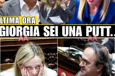 🔥 L’INSULTO ESPLODE, LO STUDIO SI CONGELA: BONELLI PROVOCA, MELONI RISPONDE. SGUARDI TAGLIENTI, SILENZI PESANTI, UNA DIRETTA CHE CAMBIA GLI EQUILIBRI E LASCIA TUTTI SENZA FIATO.Non è stata una semplice polemica televisiva. In pochi secondi, una frase di Bonelli ha acceso la miccia e trasformato la diretta in un campo di battaglia politico. Giorgia Meloni non arretra, osserva, attende, poi colpisce con parole che cambiano il ritmo dello studio. Le reazioni sono immediate: volti tesi, mormorii, un silenzio che pesa più di qualsiasi urlo. C’è chi parla di umiliazione, chi di strategia calcolata, chi di un punto di non ritorno nello scontro tra visioni opposte. Nulla viene detto fino in fondo, ma ogni gesto, ogni pausa, racconta molto più di quanto sembri. Un momento che divide, infiamma e costringe tutti a schierarsi.