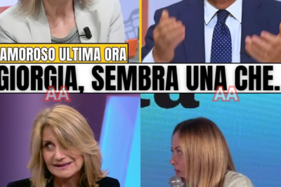 UNA FRASE TAGLIA L’ARIA, LO STUDIO SI BLOCCA: FERRARIO SFIDA, MELONI NON ARRETRA, BELPIETRO SCATTA. SGUARDI, SILENZI, UN COLPO IMPREVISTO RIBALTA I RUOLI. NULLA SARÀ COME PRIMA.Le luci si accendono e qualcosa va storto. Tiziana Ferrario entra a gamba tesa, Giorgia Meloni resta immobile, Vittorio Feltri osserva, Maurizio Belpietro stringe i denti. Poi una parola, forse una pausa, forse uno sguardo. Lo studio cambia temperatura. Le reazioni corrono più veloci dei fatti, i social esplodono, le versioni si moltiplicano. C’è chi parla di attacco calcolato, chi di risposta inevitabile, chi di una linea rossa superata in diretta. Nessuno chiarisce, tutti alludono. Un momento che divide, un confronto che riscrive le posizioni, un silenzio che pesa più di mille frasi. Guarda fino alla fine: il dettaglio decisivo arriva quando meno te lo aspetti.