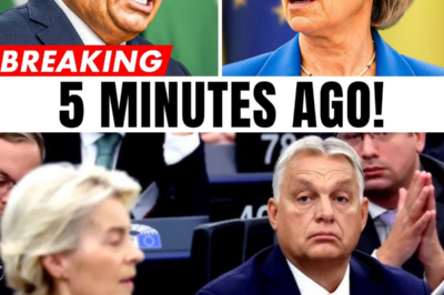 MOSSA SHOCK DI ORBAN CONTRO BRUXELLES: URSULA VON DER LEYEN TRAVOLTA, AUTORITÀ IN CRISI E UN’UMILIAZIONE CHE SCATENA IL CAOS POLITICO MENTRE L’UNIONE EUROPEA ENTRA IN UNA DELLE SUE ORE PIÙ DELICATE L’aria a Bruxelles si fa gelida. L’azione di Orban arriva all’improvviso, lascia sotto shock la leadership europea e spinge Ursula von der Leyen in una situazione senza precedenti. Nei corridoi dell’UE si sussurra di un potere che si indebolisce, di decisioni imposte e di tensioni ormai visibili ovunque. Nulla sembra più sotto controllo. È solo un gesto simbolico o l’inizio di una resa dei conti destinata a cambiare gli equilibri europei? Mentre il silenzio ufficiale diventa sempre più assordante, resta una sola domanda sospesa: chi detiene davvero il potere a Bruxelles in questo momento?|KF