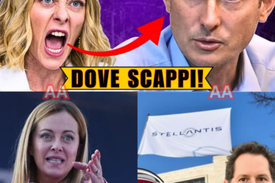 DUECENTOVENTI MILIARDI SCOMPARSI, UNA FUSIONE CHE PROMETTEVA SALVEZZA E HA LASCIATO SOLO MACERIE: FIAT, STELLANTIS E UNA STORIA CHE QUALCUNO PREFERISCE NON RACCONTARE FINO IN FONDO, MENTRE I CONTI NON TORNANO E LE RESPONSABILITÀ RESTANO SENZA NOME.  Non è solo un fallimento industriale, è un racconto che si trascina da anni. La nascita di Stellantis doveva segnare una rinascita, ma dietro le slide e le parole rassicuranti emergono cifre che fanno tremare. Duecentoventi miliardi evocati, discussi, mai davvero spiegati. FIAT cambia pelle, i vertici parlano di strategia globale, mentre in Italia le fabbriche rallentano e l’occupazione diventa un punto interrogativo. Nessuna accusa diretta, nessun colpevole indicato apertamente. Eppure il senso di perdita attraversa tutto. C’è chi difende le scelte fatte, chi ne paga le conseguenze, chi guarda da lontano cercando di capire quando il sogno si è trasformato in incubo. Il pubblico percepisce che non è solo una questione di numeri, ma di fiducia tradita. Perché quando somme così grandi entrano nel dibattito e nessuno chiarisce fino in fondo, la vera domanda non è dove siano finiti i soldi. È chi ha deciso che questa fosse l’unica strada possibile.