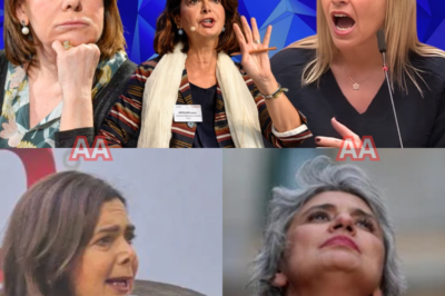 SARDONE PRONUNCIA QUELLA FRASE, BOLDRINI CAMBIA ESPRESSIONE, BERLINGUER INTERROMPE: IN DIRETTA SI SENTE CHE QUALCOSA È STATO SFORATO E CHE NON TUTTI AVREBBERO DOVUTO ASCOLTARE. Da quel secondo in poi nulla procede come previsto. Silvia Sardone insiste, Laura Boldrini reagisce con una tensione che non riesce più a nascondere, Bianca Berlinguer prova a chiudere ma capisce di essere arrivata troppo tardi. Le parole diventano allusioni, i silenzi pesano più delle risposte, gli sguardi tradiscono nervi scoperti. Il pubblico percepisce che non si sta più discutendo di opinioni, ma di qualcosa che tocca equilibri, ruoli, responsabilità. Non è chiaro chi stia spingendo e chi stia cedendo, ma è evidente che una linea invisibile è stata superata. La diretta va avanti, ma l’aria è cambiata. E quando tutto finisce, resta una sensazione inquietante: non è esploso tutto… solo perché qualcuno ha fermato la scena in tempo.