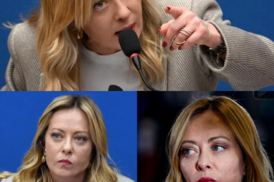 CHOC POLITICO: LA LEGGE NON È UGUALE PER TUTTI? MELONI SVELA LA VERITÀ SULLA “FAMIGLIA NEL BOSCO” E SCATENA IL DIBATTITO SULLA GIUSTIZIA IN ITALIA.  ⚡ SCANDALO IN ITALIA: LA LEGGE È DAVVERO UGUALE PER TUTTI? Meloni svela retroscena choc sulla “famiglia nel bosco” e punta il dito sulle ingiustizie che pochi vogliono raccontare. Chi decide chi può crescere i propri figli? Perché alcuni bambini vengono sottratti e altri no? Un dibattito che scuote politica, magistratura e opinione pubblica! 🔥 👉 Non perderti le rivelazioni che stanno facendo tremare lo studio e tutta Italia!