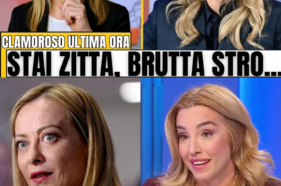 SILVIA SALIS CREDE DI METTERE MELONI CON LE SPALLE AL MURO, MA IN DIRETTA ARRIVA LA SVOLTA: UNA RISPOSTA SECCA, UN DETTAGLIO IGNORATO E L’ATTACCO CROLLA, TRA SGUARDI PERSI, APPLAUSI FREDDI E SOCIAL IN FIAMME|KF