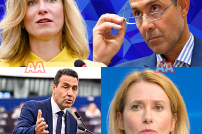 “MA VAI AL SUPERMERCATO?”, UNA FRASE CHE TAGLIA L’ARIA, METTE A NUDO L’EUROPA E FA ESPLODERE LO SCONTRO: VANNACCI COLPISCE IN DIRETTA, KALLAS RESTA SENZA REPLICA E L’ELITE VA IN SILENZIO  Sembra una battuta, ma diventa un colpo politico. In pochi secondi il tono cambia e lo scontro si accende. Vannacci non gira attorno al problema, affonda e costringe l’avversaria a fermarsi. La domanda suona semplice, quasi banale, ma porta con sé un’accusa più profonda: distanza, privilegi, incomprensione della vita reale. Kallas prova a mantenere il controllo, ma la replica non arriva. Lo studio resta sospeso, il pubblico percepisce il vuoto. È in quel momento che la scena si trasforma in un trailer di guerra culturale. Da una parte chi parla di tecnicismi e linee europee, dall’altra chi richiama il costo della spesa, le famiglie, la quotidianità che pesa. Il web reagisce all’istante: clip virali, commenti infuocati, schieramenti netti. C’è chi applaude la stoccata come gesto di verità brutale, chi la denuncia come provocazione calcolata. Ma il danno mediatico è fatto. L’immagine di distanza tra palazzi e cittadini si allarga, e lo scontro supera i confini nazionali. Non è solo una frase, è un simbolo che divide. E mentre il dibattito esplode, resta una domanda che brucia: chi rappresenta davvero la realtà di ogni giorno?