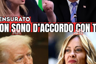SCANDALO GROENLANDIA: GIORGIA MELONI INCROCIA DONALD TRUMP, UNA FRASE DI TROPPO, UN DOSSIER BLOCCATO E LA FRATTURA CHE RISCRIVE GLI EQUILIBRI DEL POTERE MONDIALE  Non è una crisi diplomatica qualunque. È un segnale. La Groenlandia diventa il campo di battaglia silenzioso dove Giorgia Meloni rompe la linea, mentre Donald Trump osserva, misura, e risponde. Dietro comunicati freddi e strette di mano mancate, si muove qualcosa di molto più grande.  Fonti parlano di pressioni, di richieste respinte, di un no pronunciato nel momento sbagliato. Meloni non arretra. Trump non dimentica. E tra Washington, Bruxelles e Roma il clima cambia improvvisamente. Ogni parola pesa. Ogni silenzio fa rumore.  Nel retroscena emergono dossier congelati, alleanze in bilico, promesse fatte e improvvisamente rimesse in discussione. C’è chi parla di autonomia strategica, chi di tradimento politico. La verità resta sospesa, ma l’effetto è immediato.  I mercati reagiscono, le cancellerie tremano, il web esplode. Perché quando due figure centrali del potere globale smettono di parlarsi davvero, il mondo prende appunti. E questa volta, nulla sembra più come prima.