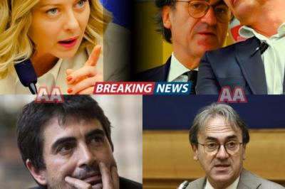GIORGIA MELONI SPAZZA VIA LE ACCUSE, METTE AL MURO ANGELO BONELLI E NICOLA FRATOIANNI E CAMBIA IL CLIMA DELL’AULA: UNA RISPOSTA SECCA, UNO SGUARDO TAGLIENTE, E LA SINISTRA RESTA IMMOBILE, SENZA PAROLE, DAVANTI A TUTTI.  Le accuse partono come un attacco coordinato, ma si infrangono contro una replica che ribalta i ruoli in pochi istanti. Giorgia Meloni ascolta, misura il momento e poi colpisce, smontando punto per punto il racconto di Bonelli e Fratoianni senza alzare la voce. L’Aula si tende, i toni cambiano, e ciò che doveva essere un processo politico si trasforma in un boomerang mediatico. Gli sguardi cercano appigli, le parole si fermano, mentre la Premier avanza sul terreno dello scontro con sicurezza chirurgica. Non è solo una risposta: è un segnale di forza, una dimostrazione di controllo che spiazza gli avversari e manda un messaggio chiaro fuori dal Palazzo. Quando cala il silenzio, il pubblico capisce che qualcosa si è rotto. E che la partita, da quel momento, non è più la stessa.
