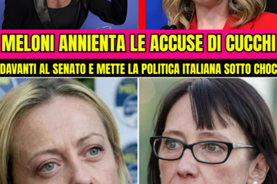 GIORGIA MELONI ROMPE IL TABÙ AL SENATO E SMASCHERA LE ACCUSE DI ILARIA CUCCHI: DOCUMENTI MAI MOSTRATI PRIMA, UNA VERITÀ TENUTA NELL’OMBRA E UNA RISPOSTA CHE COSTRINGE L’AULA AL SILENZIO, MENTRE QUALCOSA DI NON DETTO EMERGE ALL’IMPROVVISO. Nel momento più teso, quando tutti pensavano di conoscere già la storia, Giorgia Meloni cambia le regole del gioco. In Senato emergono documenti mai mostrati prima, dettagli rimasti nell’ombra e una risposta che spiazza amici e avversari. L’aula si blocca, il rumore si spegne, gli sguardi si abbassano. Non è solo una replica politica, è una frattura narrativa. Qualcosa che doveva restare nascosto viene pronunciato ad alta voce. E da quel momento, nulla nel dibattito sarà più come prima|KF